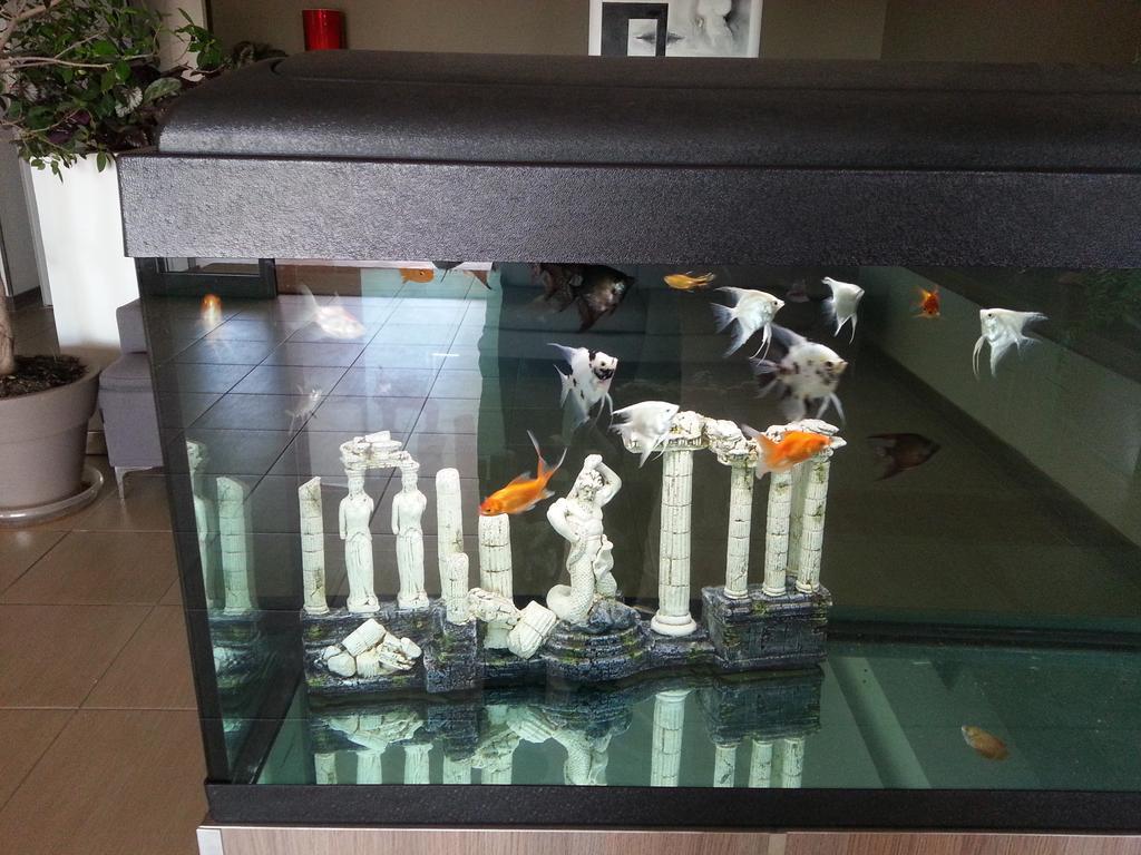 Hotel Poseidon Кориляно Калабро Екстериор снимка